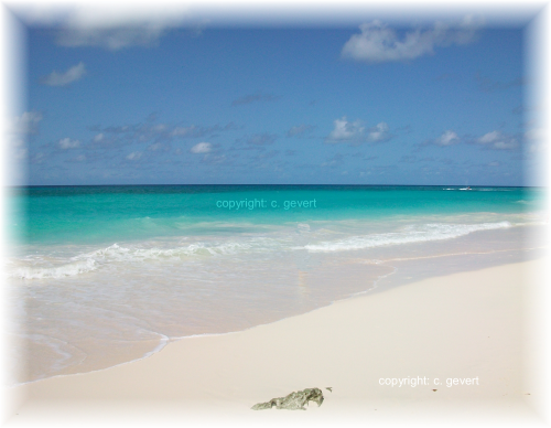 Barbados Beach